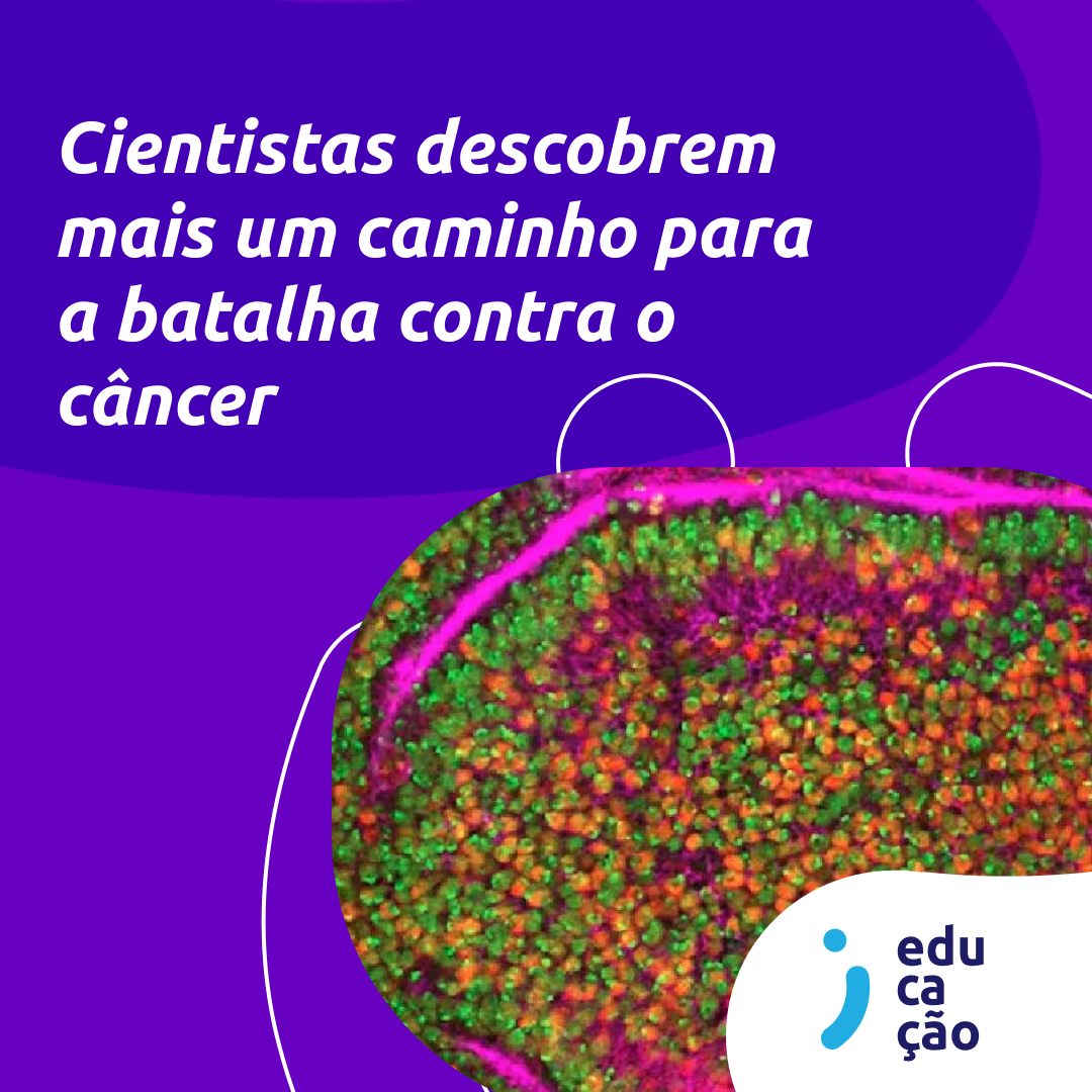 DNA artificial: o novo herói contra o câncer.