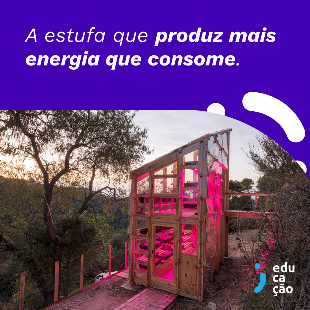 Estudantes criam estufa que produz mais energia que consome.