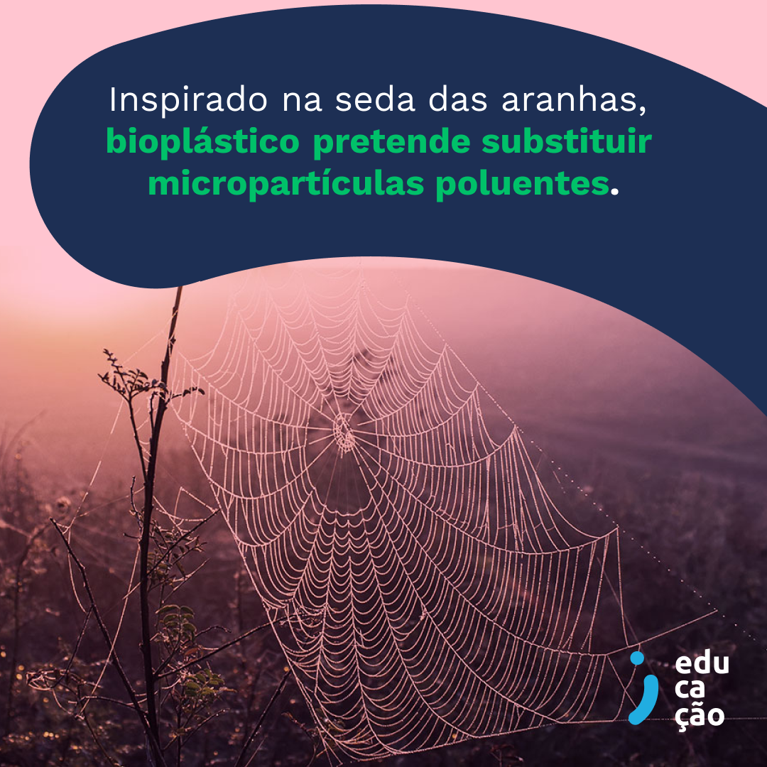 Startup cria bioplástico sustentável para combater o dano dos microplásticos.
