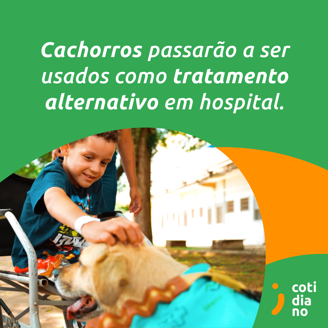 Cachorros passarão a ser usados como tratamento alternativo em hospital.
