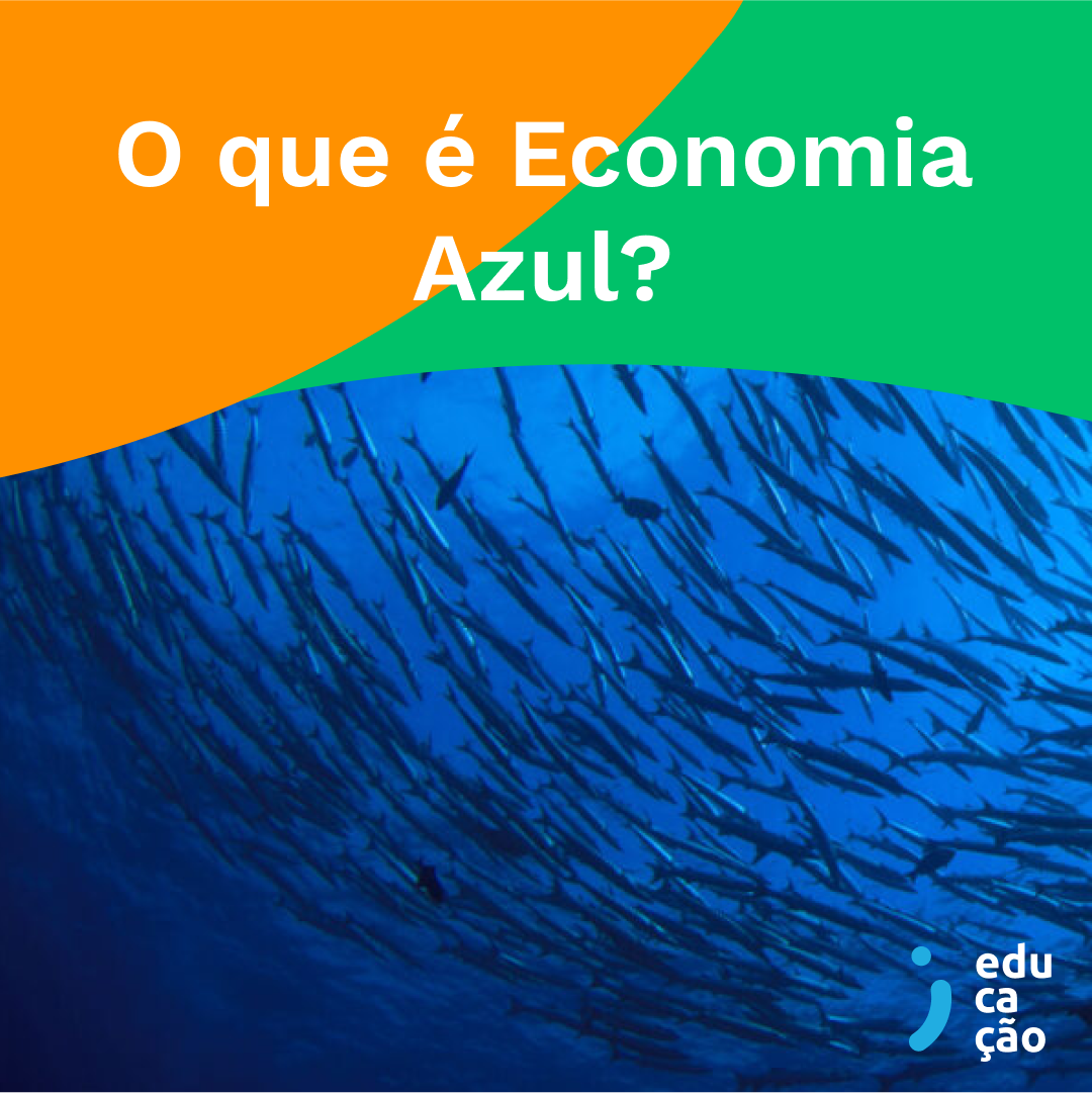  Os princípios da Economia Azul